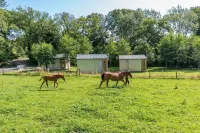 Sunset Cabins - Studio Pod-Sleeps 3-Tjsssc Hotels in Barnstaple