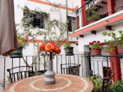 Rincón Familiar Hostel Boutique Hotels near Carondelet Palace