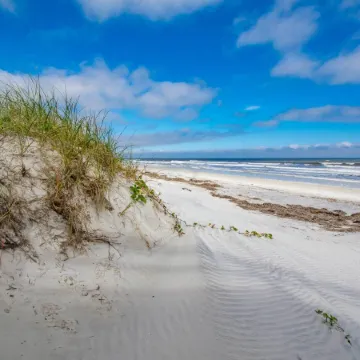 62 Hypolita Carriage House