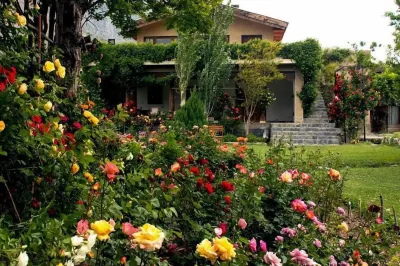 Ayun Fort Inn Hotels near شيترال