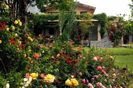 Ayun Fort Inn Отели в г. Читрал