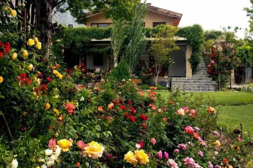 Ayun Fort Inn Hotels in Chitral