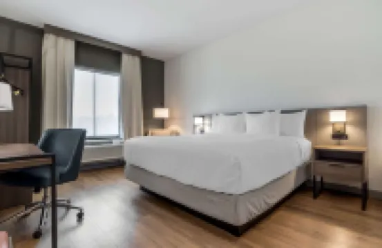 컴포트 인 & 스위트 판아마 시티 비치 - 피어 파크 에어리어 피어 파크 주변 호텔