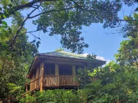 Buhoma Gorilla Camp Hotels near Buhoma village tour