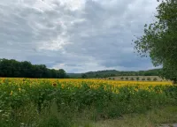Comfort Near Harz Trails Các khách sạn ở Cattenstedt