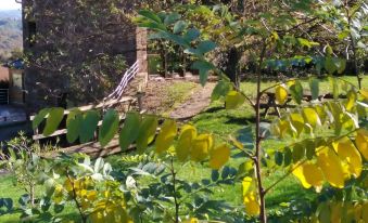 Domaine du Mas Naut
