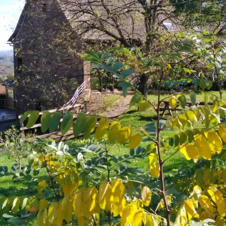 Domaine du Mas Naut