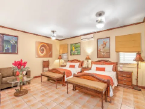 Hotel Casa Roland San Jose Hotels near Jardines de Rohrmoser Park