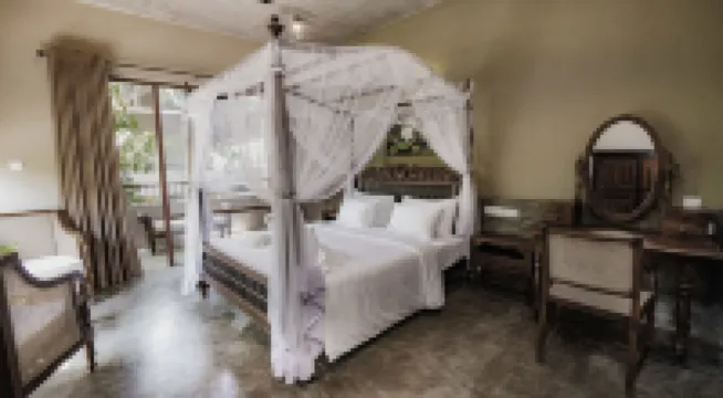 アーユル アーユル アーユルヴェーダ リトリート