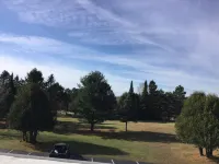 Cedars Motel