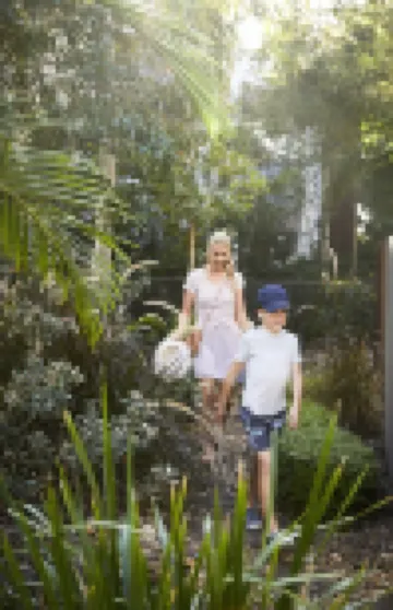 Racv Noosa Resort Hotels near Noosa Junction