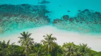 Dhiguveli Maldives - Beach