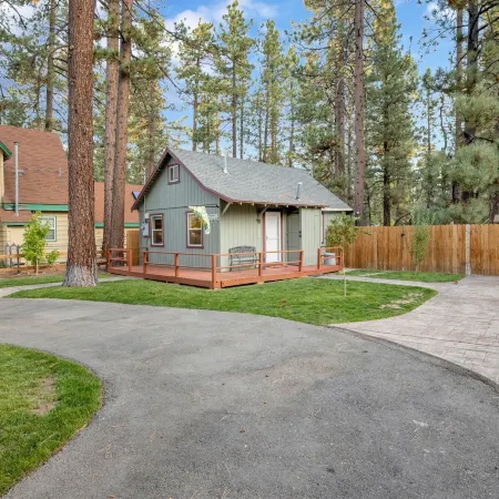 2315-Beary Cozy Cabin Cabin