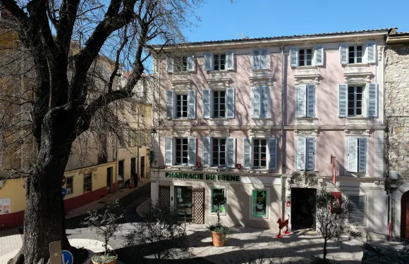 弗勒內別墅酒店