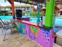 Amapola Resort - bar