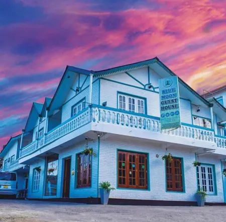 Blue Moon Hotel Отели в г. Район Нувара-Элия