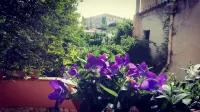 Santa Lucia B&B Hotels in Formia