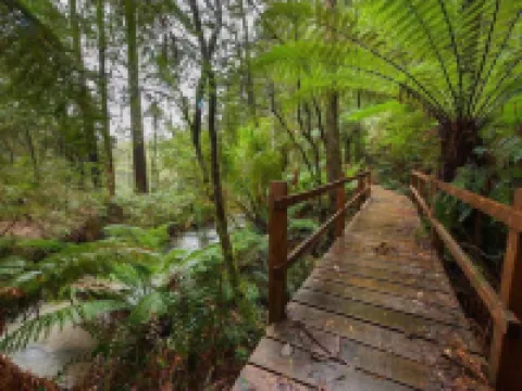The Source, Otways