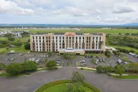 Hilton Garden Inn Guanacaste Airport Hotels in 
