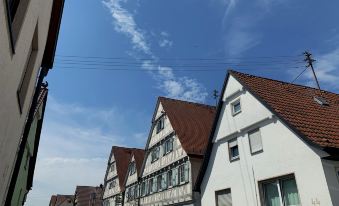 Historik Hotel Ochsen