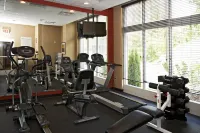 Holiday Inn BIRMINGHAM - HOOVER by IHG - Gym