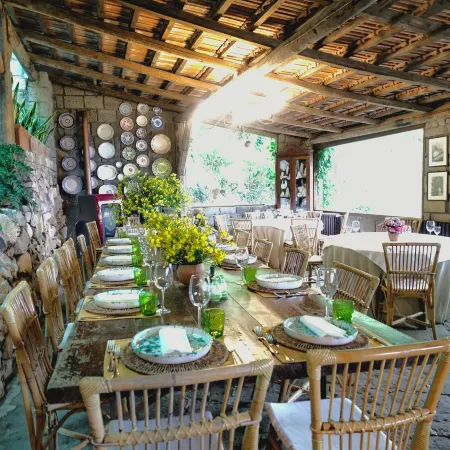 Agriturismo Fattoria Terranova