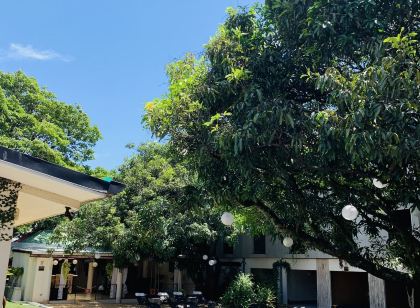 Hotel Mango Airport