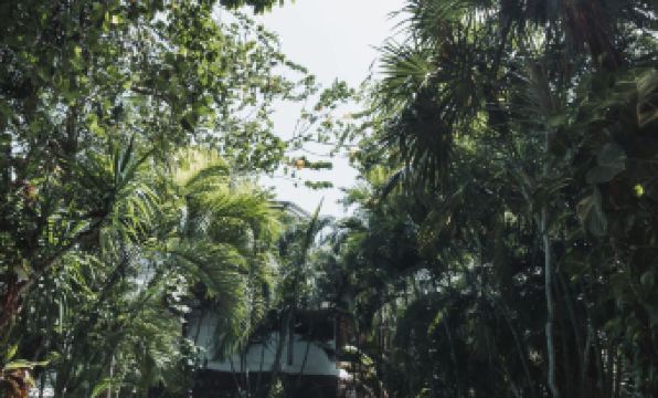 Hotel Casa Barbara Holbox