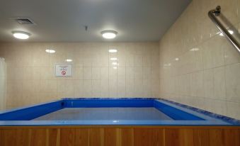 Aerostar Hotel Moscow