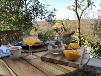 The Wild Blue Lodge Safari & Spa