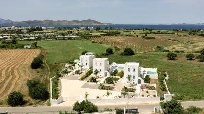 Xenos Villa 5 with a Private Pool Near the Sea