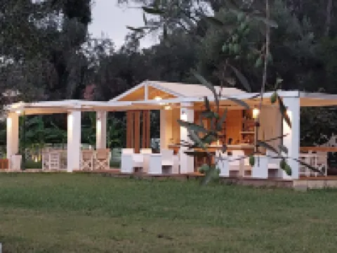 아멜리아의 정원