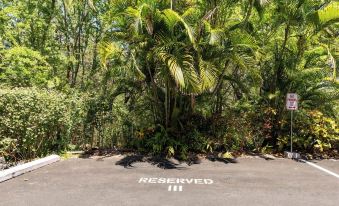 Steps from Magic Sands Pool, Wi-fi & Attractions