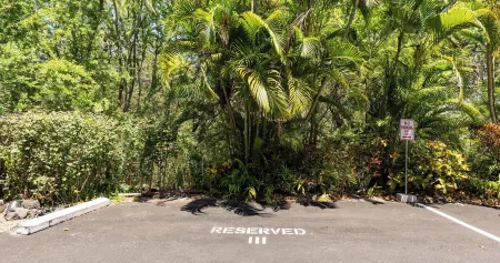 Steps from Magic Sands Pool, Wi-fi & Attractions Отели рядом с достопримечательностью «Уайт Сандс Виллидж»