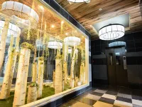 Sun Court Hongodori Garden Hills Các khách sạn gần Ga Shin Sapporo