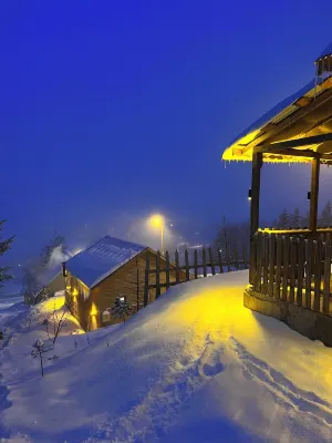 Ny Çambaşı Hotels in Gumusdere Mahallesi