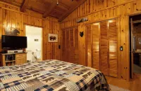 The Cozy 2 bedroom Pineland Chalet Hotels in Wrightwood