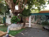 Casa, "Joy of the Sea"