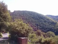 Waldblick II-Waldbreitbach Hotels in Waldbreitbach