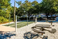 Sundial B306--Direct Beachview, Newly Renovated, Steps to Beach - 4-Sterne