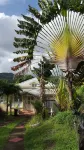 Creole Villa - Bed and Breakfast Hotels near Grotte de Saint Joseph Notre Dame de Lourdes