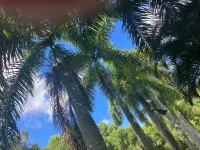 No Rat Race here at the Royal Flush. Hotels in Bokeelia