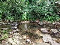 Cabaña Los Tucanes - Paradise for Couples!