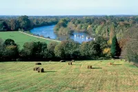 REFURBISHED! Townhouse studio apartment Hotels in Twickenham