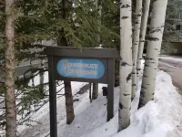 Sonnenblick 6: Ski In, Pool, Hot Tub, In the Heart of Snowmass, No Car Needed