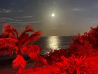 Luxury Ocean Front Apartment for a Getaway