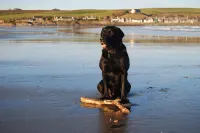 Sandend Cottage - in the picturesque 'get away from it all' fishing hamlet Các khách sạn ở Sandend