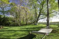 Amazing Hampton's Styled Getaway Hotels near Hank's Pumpkintown