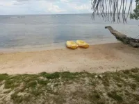 Swimming, Snorkeling, Hiking, Boonefishing, Mangrove tours,relaxing on the beach