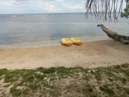 Swimming, Snorkeling, Hiking, Boonefishing, Mangrove tours,relaxing on the beach Отели в г. Хосе Сантос Гуардиола